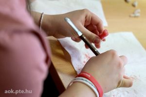 https://felvi.aok.pte.hu/static-files/54211/DSCF0275._w_300_h_300.jpg