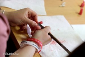 https://felvi.aok.pte.hu/static-files/54212/DSCF0273._w_300_h_300.jpg