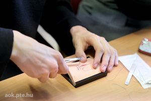 https://felvi.aok.pte.hu/static-files/54238/DSCF0239._w_300_h_300.jpg