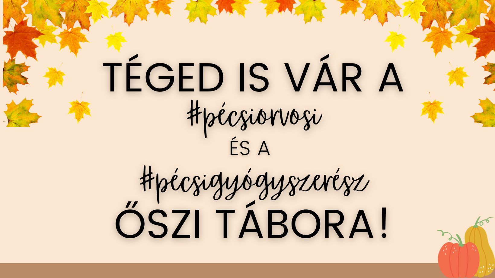 https://felvi.aok.pte.hu/static-files/547/9027_Tabor_plakatok_(Facebook-borito)_(2)._w_1920_h_1080.jpg