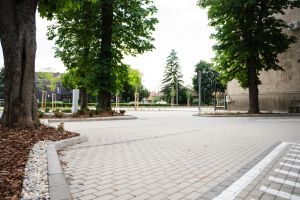https://felvi.aok.pte.hu/static-files/55761/aok_parkavatas_20250519_094_kerekes._w_300_h_300.jpg